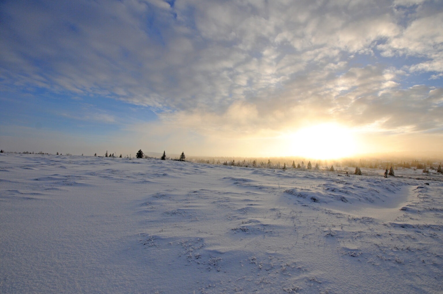 Norway 4