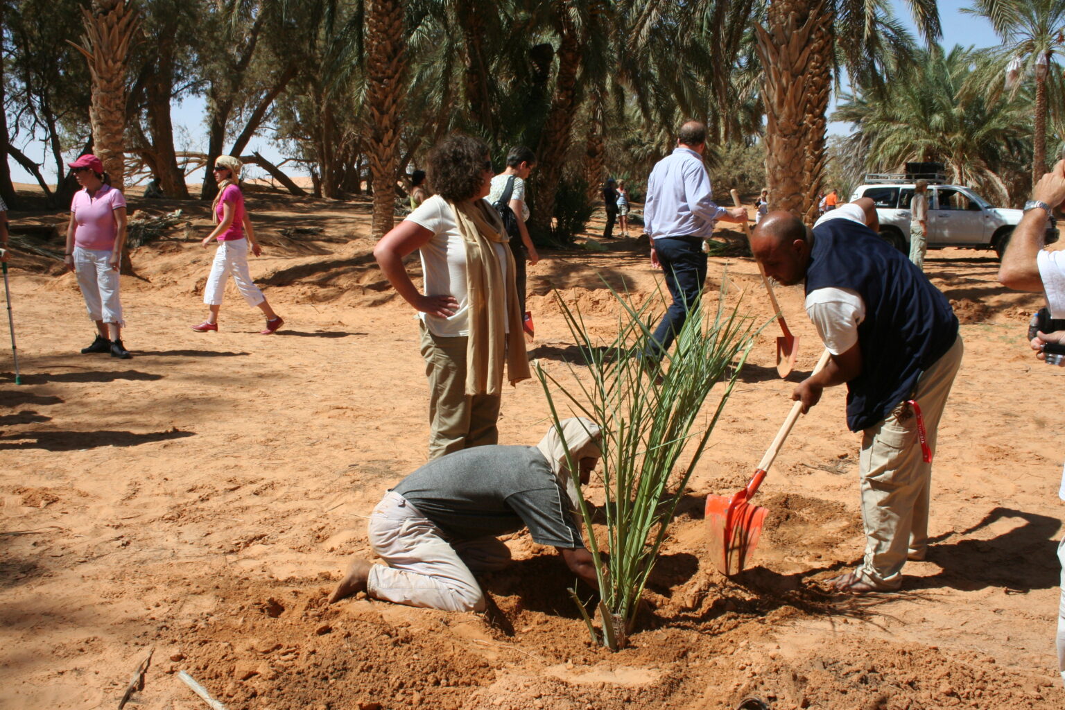 Sahara 359 (2)