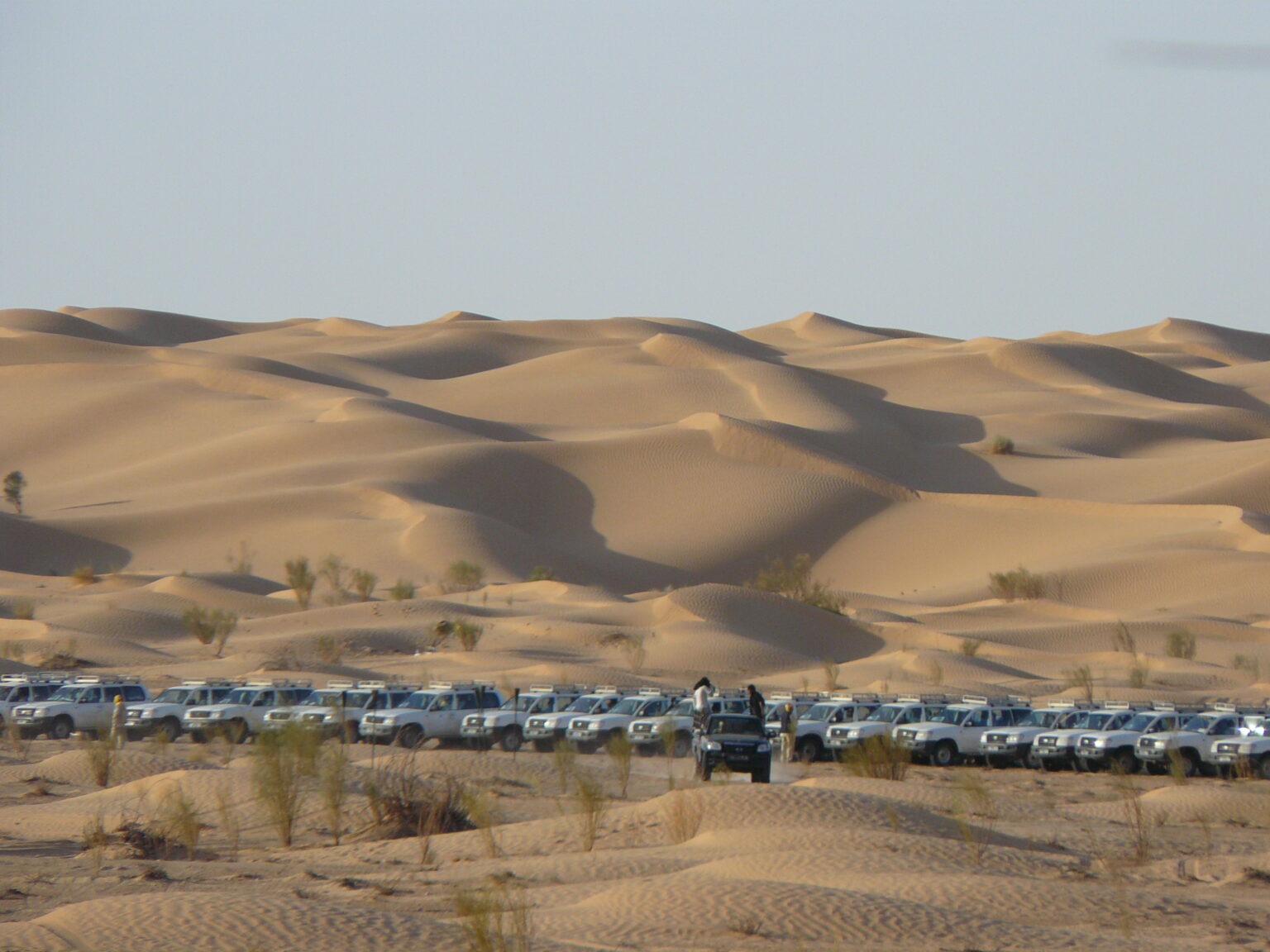 Sahara Jeeps